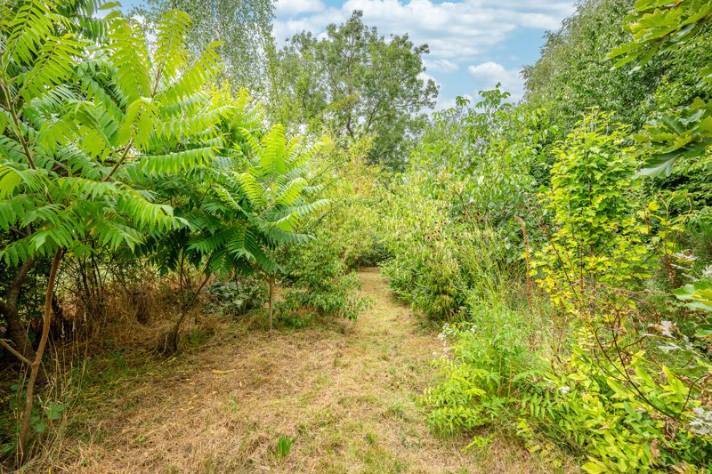 Garden- click for photo gallery